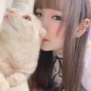 ヒメ日記 2025/06/24 16:52 投稿 ひめの 元クリ南 G-STAGE