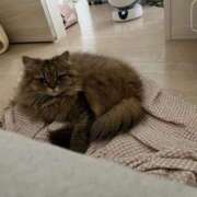 ヒメ日記 2025/07/14 13:55 投稿 ひめの 元クリ南 G-STAGE