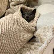 ヒメ日記 2025/08/04 16:30 投稿 ひめの 元クリ南 G-STAGE