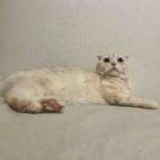 ヒメ日記 2025/09/17 17:27 投稿 ひめの 元クリ南 G-STAGE