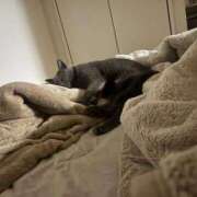 ヒメ日記 2025/10/07 16:09 投稿 ひめの 元クリ南 G-STAGE