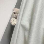 ヒメ日記 2025/10/11 23:09 投稿 ひめの 元クリ南 G-STAGE