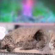 ヒメ日記 2025/10/20 13:49 投稿 ひめの 元クリ南 G-STAGE