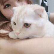 ヒメ日記 2025/11/10 11:49 投稿 ひめの 元クリ南 G-STAGE