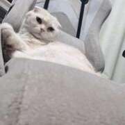 ヒメ日記 2025/12/02 21:41 投稿 ひめの 元クリ南 G-STAGE（京都グループ）