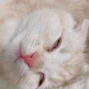 ヒメ日記 2026/03/17 19:19 投稿 ひめの 元クリ南 G-STAGE