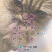 ヒメ日記 2026/03/24 21:49 投稿 ひめの 元クリ南 G-STAGE