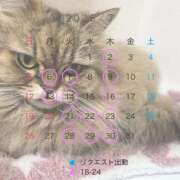 ヒメ日記 2026/06/30 19:49 投稿 ひめの 元クリ南 G-STAGE