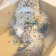 ヒメ日記 2026/08/23 13:59 投稿 ひめの 元クリ南 G-STAGE