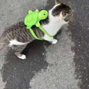 ヒメ日記 2025/01/12 19:49 投稿 なつ 元クリ南 G-STAGE（京都グループ）