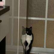 ヒメ日記 2025/11/15 20:49 投稿 なつ 元クリ南 G-STAGE