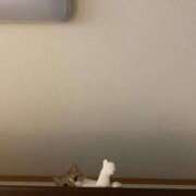 なつ 元クリ南 🈹 G-STAGE（京都グループ）