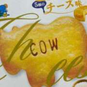 ヒメ日記 2025/02/26 13:49 投稿 ひな 元クリ南 G-STAGE（京都グループ）