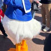 ヒメ日記 2025/03/11 00:19 投稿 ひな 元クリ南 G-STAGE