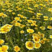 ヒメ日記 2025/05/02 23:20 投稿 ひな 元クリ南 G-STAGE