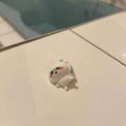 ヒメ日記 2025/05/26 22:04 投稿 ひな 元クリ南 G-STAGE