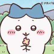 ヒメ日記 2025/01/14 18:59 投稿 ひまわり 元クリ南 G-STAGE（京都グループ）