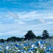 ヒメ日記 2026/05/08 10:12 投稿 よつば 元Gスタイル G-STAGE