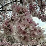 ヒメ日記 2025/04/08 00:11 投稿 もも 元クリ南 G-STAGE