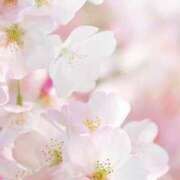 ヒメ日記 2025/04/02 11:31 投稿 あすか 一夜妻