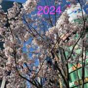 ヒメ日記 2025/03/26 18:03 投稿 ゆりこ 池袋で熟女の風俗 マダムいやーん