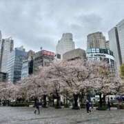 ヒメ日記 2025/04/03 16:36 投稿 ゆりこ 池袋で熟女の風俗 マダムいやーん