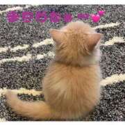 ヒメ日記 2025/10/25 20:58 投稿 ゆりこ 池袋で熟女の風俗 マダムいやーん