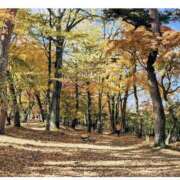 ヒメ日記 2025/11/15 22:41 投稿 ゆりこ 池袋で熟女の風俗 マダムいやーん