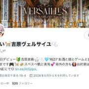 ヒメ日記 2024/08/19 09:43 投稿 みれい Versailles