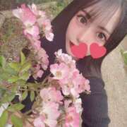 ヒメ日記 2025/06/24 09:41 投稿 みれい Versailles