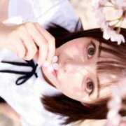 ヒメ日記 2026/04/15 21:16 投稿 みれい Versailles