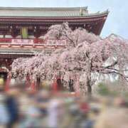 ヒメ日記 2025/04/16 19:15 投稿 らら 美少女制服学園CLASSMATE　五反田校