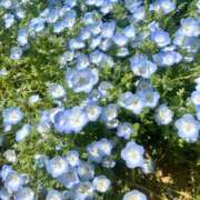 ヒメ日記 2025/05/15 22:19 投稿 らら 美少女制服学園CLASSMATE　五反田校