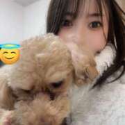 ヒメ日記 2024/12/21 09:03 投稿 凪　ましろ 響-HIBIKI-