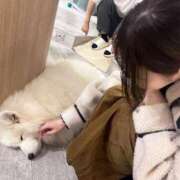 ヒメ日記 2025/11/05 20:02 投稿 凪　ましろ 響-HIBIKI-