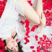 ヒメ日記 2025/11/07 06:30 投稿 凪　ましろ 響-HIBIKI-