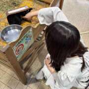 ヒメ日記 2025/11/09 18:02 投稿 凪　ましろ 響-HIBIKI-