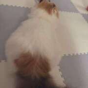 ヒメ日記 2025/11/14 07:49 投稿 凪　ましろ 響-HIBIKI-