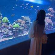 ヒメ日記 2025/11/21 18:04 投稿 凪　ましろ 響-HIBIKI-