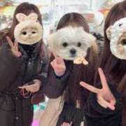 ヒメ日記 2025/12/09 18:01 投稿 凪　ましろ 響-HIBIKI-