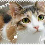 ヒメ日記 2025/06/29 16:13 投稿 らむ若奥 未熟な若奥