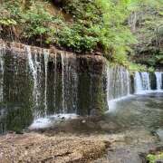 ヒメ日記 2026/02/17 21:31 投稿 めい 蜜系アロマ＆回春エステ～エナジー～Energy