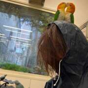 ヒメ日記 2026/08/08 12:31 投稿 めい 蜜系アロマ＆回春エステ～エナジー～Energy
