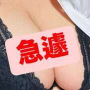 ヒメ日記 2025/01/02 18:21 投稿 のあ ちゃんこ長野塩尻北IC店