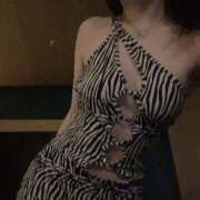 ヒメ日記 2025/02/12 21:26 投稿 PIKMIN GINGIRA☆TOKYO～ギンギラ東京～