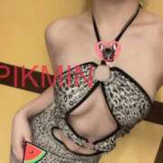 ヒメ日記 2025/11/20 15:19 投稿 PIKMIN GINGIRA☆TOKYO～ギンギラ東京～