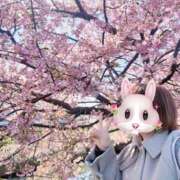 ヒメ日記 2026/03/16 23:55 投稿 すい 大宮人妻デリヘル～大人の事情～