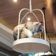 ヒメ日記 2026/02/23 13:35 投稿 みお 大宮人妻デリヘル～大人の事情～