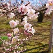 ヒメ日記 2026/03/12 19:52 投稿 みお 大宮人妻デリヘル～大人の事情～