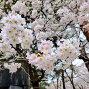 ヒメ日記 2026/03/25 19:05 投稿 みお 大宮人妻デリヘル～大人の事情～